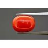 6.74 cts Natural Coral (Moonga)