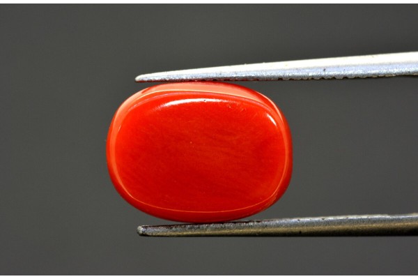 6.74 cts Natural Coral (Moonga)