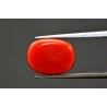 6.74 cts Natural Coral (Moonga)