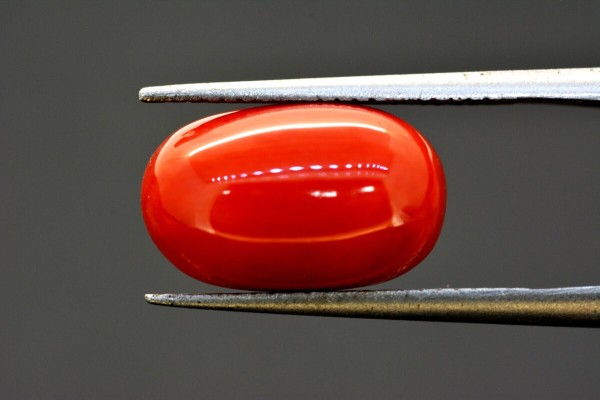 6.56 cts Natural Coral (Moonga)