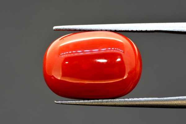 15.11 cts Natural Coral (Moonga)