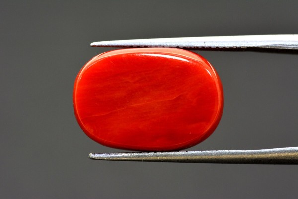 15.11 cts Natural Coral (Moonga)