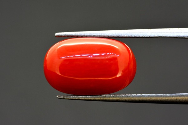 9.87 cts Natural Coral (Moonga)