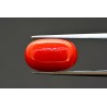 9.87 cts Natural Coral (Moonga)