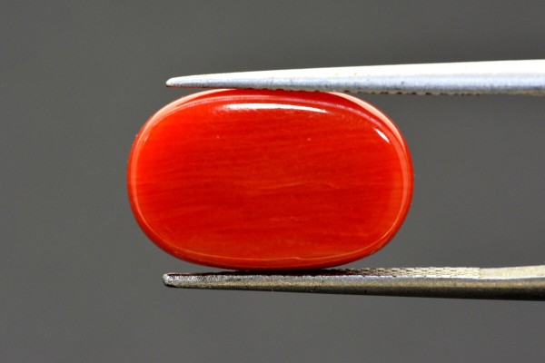 9.87 cts Natural Coral (Moonga)
