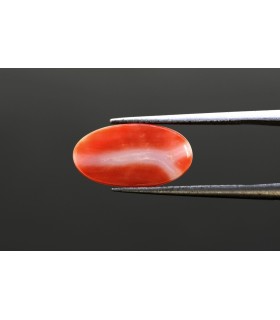 4.67 cts Natural Coral - Moonga (SKU:90081521)